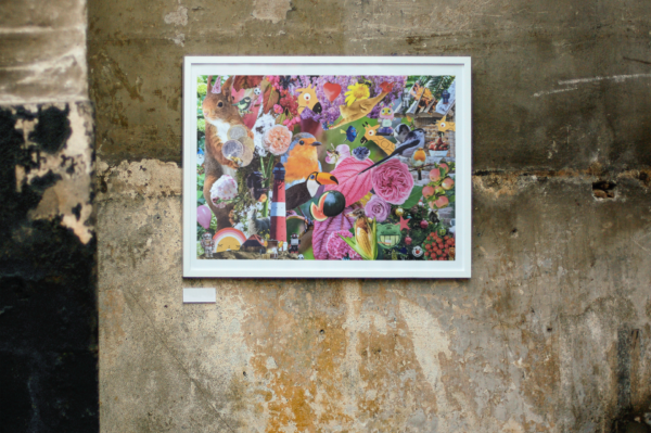 Bezaubernde Geschenkidee: Kunstdruck-Collage "NATURE AT ITS BEST" von Green Lourie als einzigartige Wanddekoration im Shabby Chic-Stil - Poster Din A4 (quer)