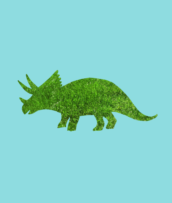 Du möchtest einem Dinosaurier-Fan eine ganz besondere Freude machen? Dann schenke ihm diese einzigartigen Designs mit "Triceratops auf der Wiese"-Motiv zum Geburtstag!