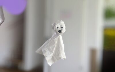 Wirkungsvolle Halloween-Deko in 2 Minuten gebastelt: Gespenst aus Taschentuch - perfekt für Kleinkinder!